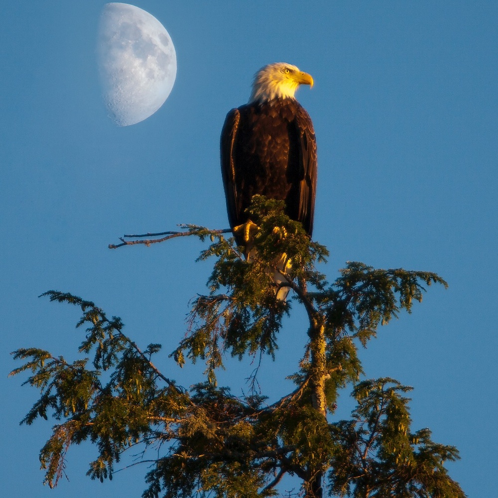 Meet Your Posher ~ Kim